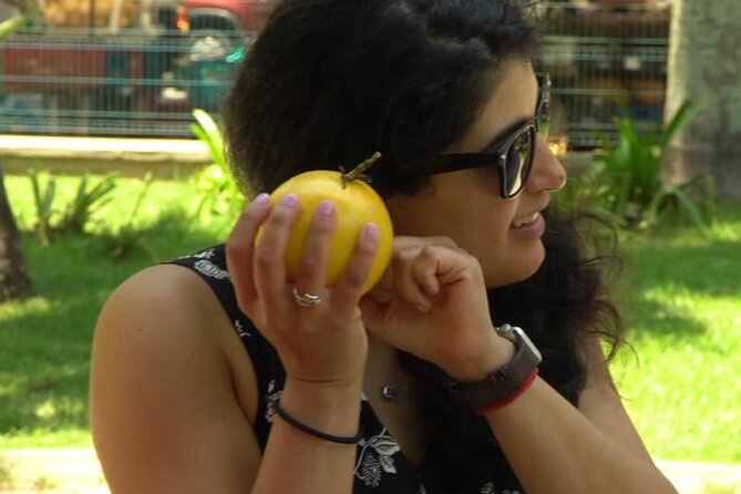 Taste 17+ Tropical Brazilian Fruits at a Lively Farmers Market - Sample Menu Selection