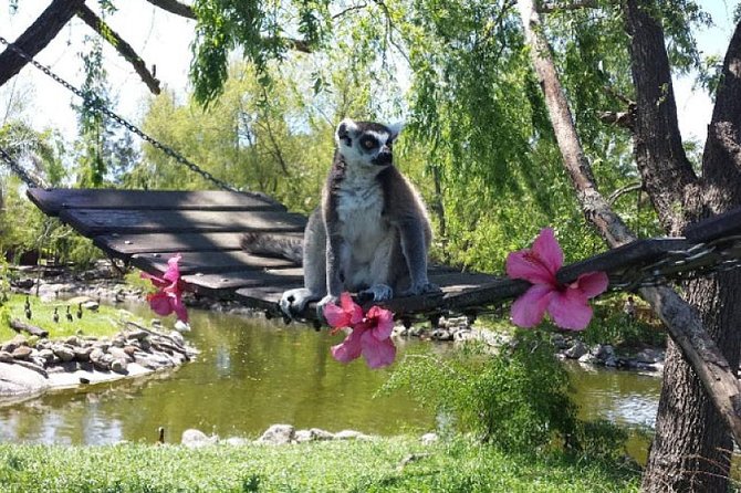 Temaiken Biopark Day Tour From Buenos Aires
