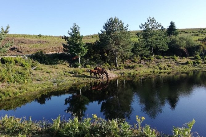 The Adventure National Parc Peneda-Gerês - Inclusions and Services Provided