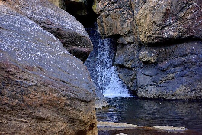 The Beauty And Culture Of Coorg – From Bangalore With Private Transfer