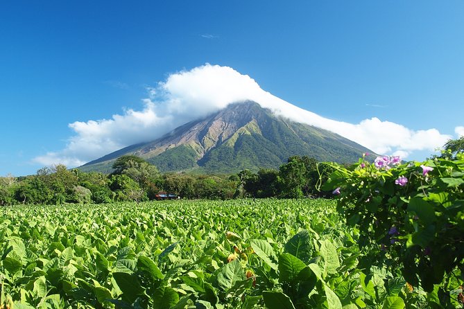 The Best of Matagalpa Walking Tour - Highlights of the Tour