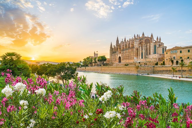 The Best of Palmira Walking Tour - Tour Details and Inclusions