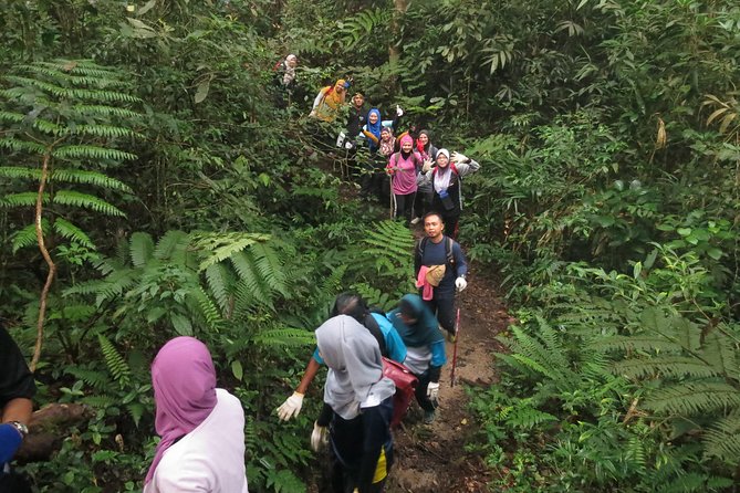 The Dusun : Jungle Trekking Adventure to Waterfall With Jungle Guide - Meeting and Pickup