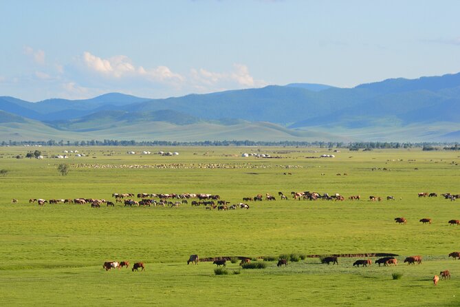 The Essence of Mongolia 4 Days