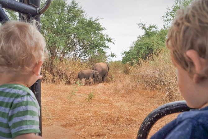 The Great Elephant Gathering Private Safari From Minneriya