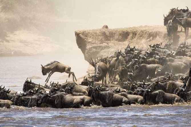 The Great Wildebeest Migration - Migration Overview