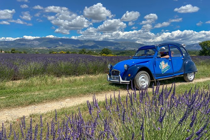 The Lavender Road in 2cv - Oh My Deuche Tour Details