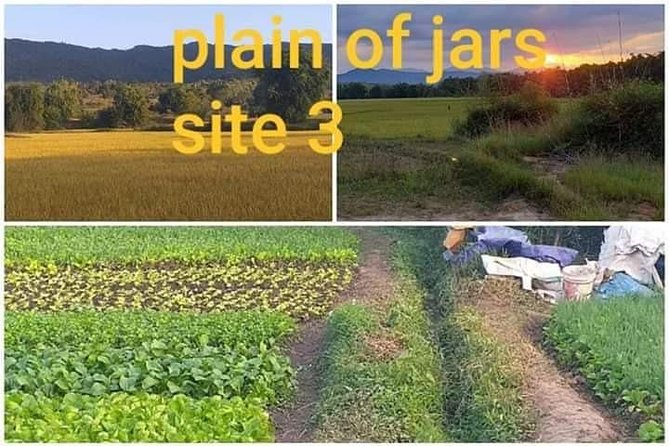 The Old Capital Tour Combined With Plain off Jars