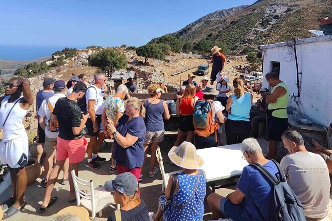 The Roads Of Wine Olive Oil And Cretan Tradition in Malia - Malias Wine Routes
