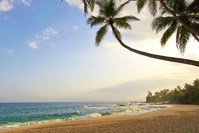 The Secret Escapes | 14 Days - Transportation and Accommodation