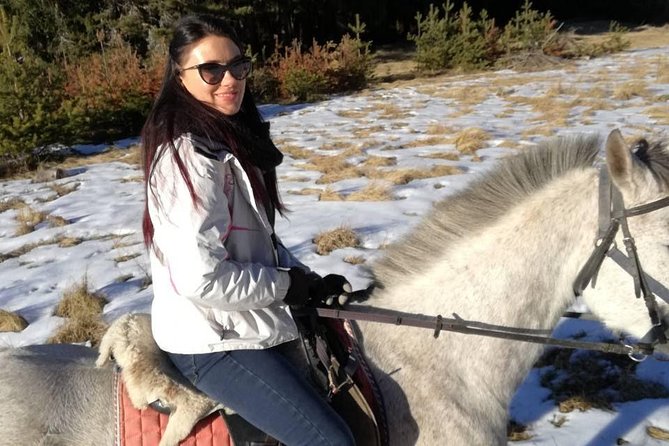 The Ultimate Private Balkan Horse Riding Experience - Meeting and Pickup Details