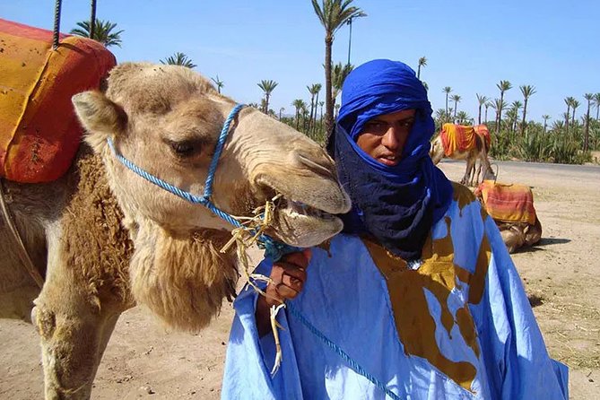 Things to Do in Marrakech: Camel Ride Experience