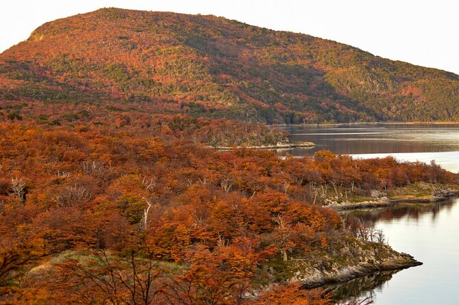 Tierra Del Fuego National Park PM - With Dinner Included - Inclusions and Costs