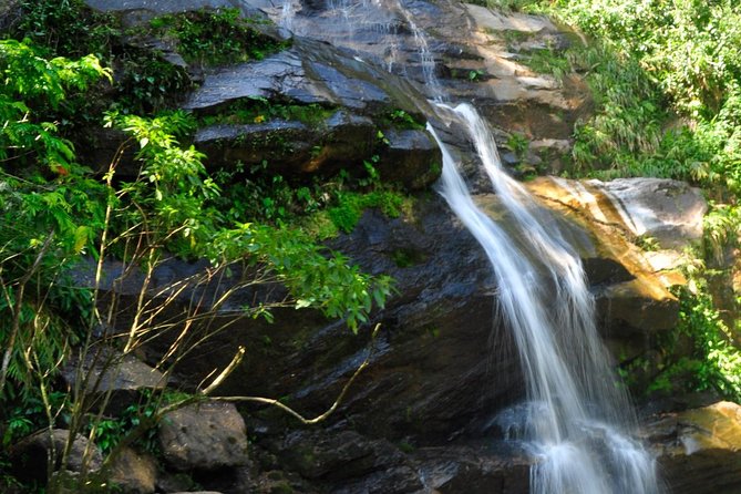 Tijuca Forest - Private Tour - Pricing and Group Size