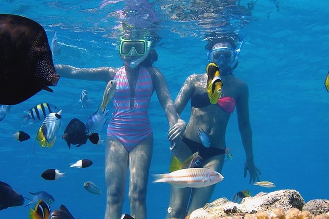 Tiran Island Boat Trip Snorkeling and Diving - Logistics and Meeting Details