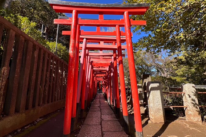 Tokyo Old Town Small Group Walking Tour - Meeting Point and Time