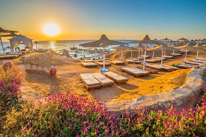 Top Attractions In Sharm El Sheikh In Full Day Tour From Cairo - Flight and Transportation Details
