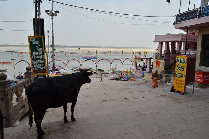 Tour Ancient Varansi by E-Rickshaw - Tour Inclusions