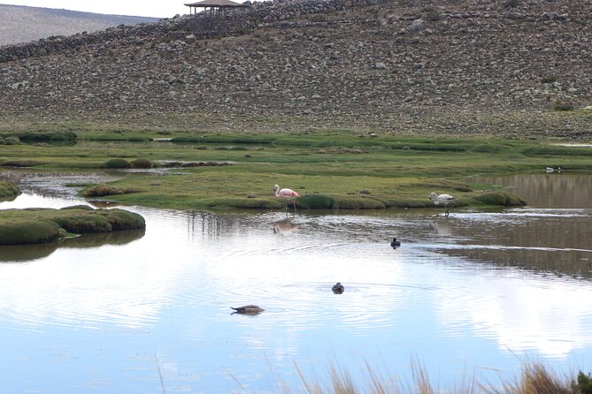 Tour Colca Canyon and Valley of the Volcanoes 3Days - Itinerary Details