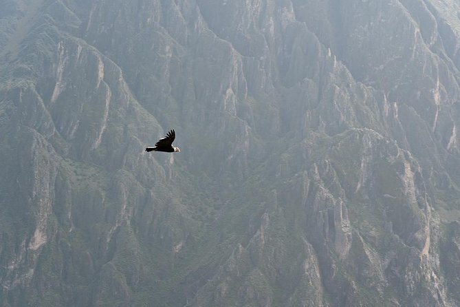 TOUR COLCA CANYON (FULL DAY) - Shared Service - Tour Details