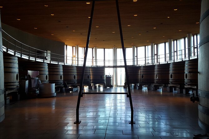 Tour in Colchagua Vineyards Montes and Vineyards Viu Manent