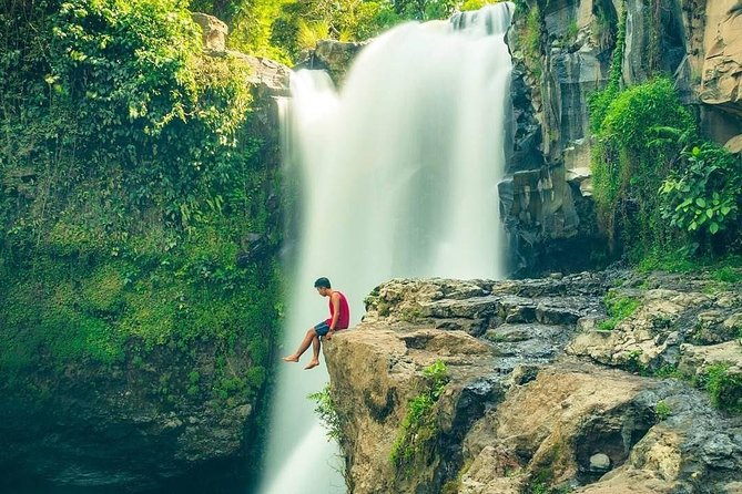 Tour Monkey Forest - Jungle Swing - Rice Terrace - Water Temple and Waterfall - Discover Rice Terraces