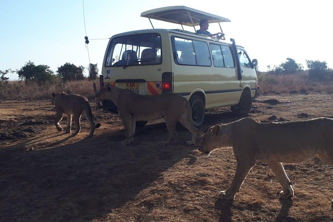 Tour Nairobi National Park - Transportation Details