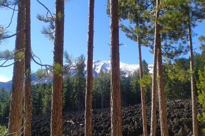 Tour of Etna on Foot, Food and Wine Tasting in the Etna Winery