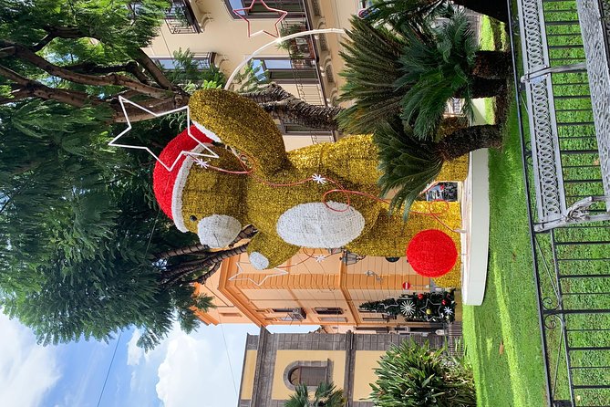 Tour of the City of Sorrento With Beautiful Christmas Decorations - Visiting Local Christmas Markets