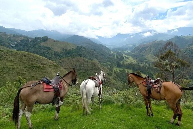 Tour Salento, Cocora + Horseback Riding From Pereira or Armenia - Pickup and Meeting Options