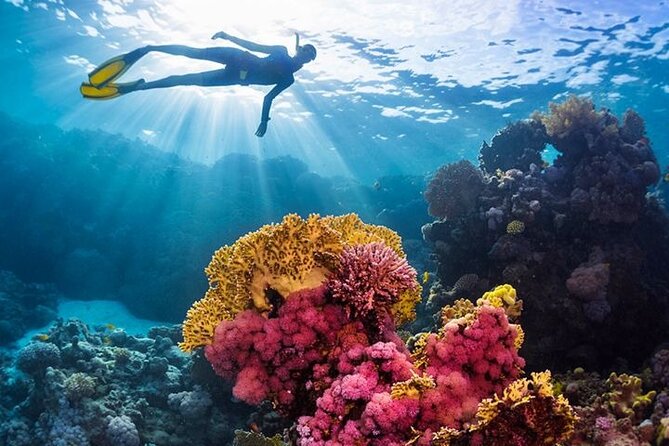 Tour to Abu Gallum National Park and Snorkeling at Blue Hole - Inclusions and Fees