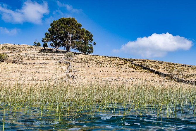 Tour to Anapia Island From Puno 2 Days 1 Night - Itinerary Highlights