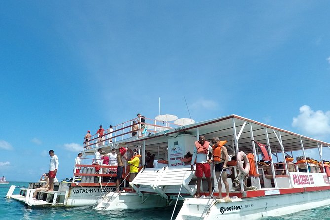 Best Boat Tours And Cruises In Natal
