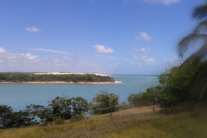 Tour To Pipa Beach From Natal - Tour Highlights