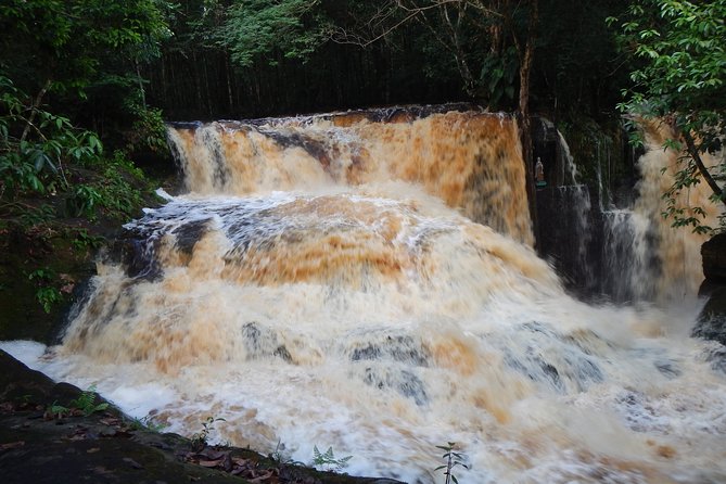 Tour to Presidente Figueiredo Waterfalls - Highlights of the Experience