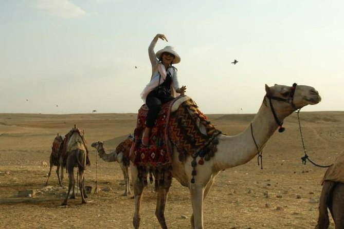 Tour To Pyramids & The Egyptian Museum - Detailed Itinerary & Sites