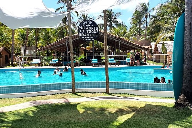 Tour to São Miguel Dos Milagres Beach With Departure From Maragogi