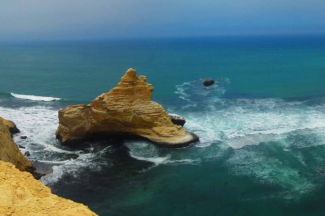 Tour to the Paracas National Reserve for Cruise Travelers - Tour Details
