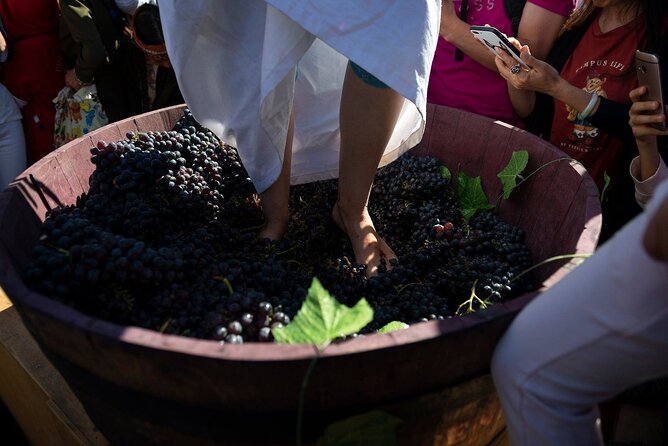 Tour to Vayots Dzor Noravank Khor Virap Areni Wine Learn a Craft Armenia Hiking - Transportation Logistics