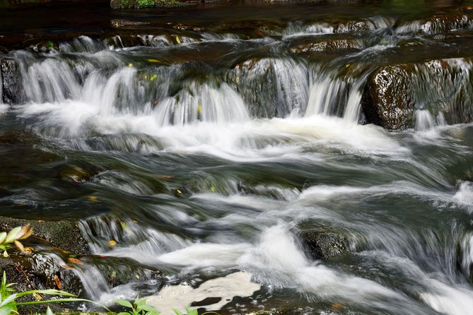 Tourisct Highlights of Shillong (Guided Fullday Sightseeing Tour by Car) - Cultural Immersion and Temples