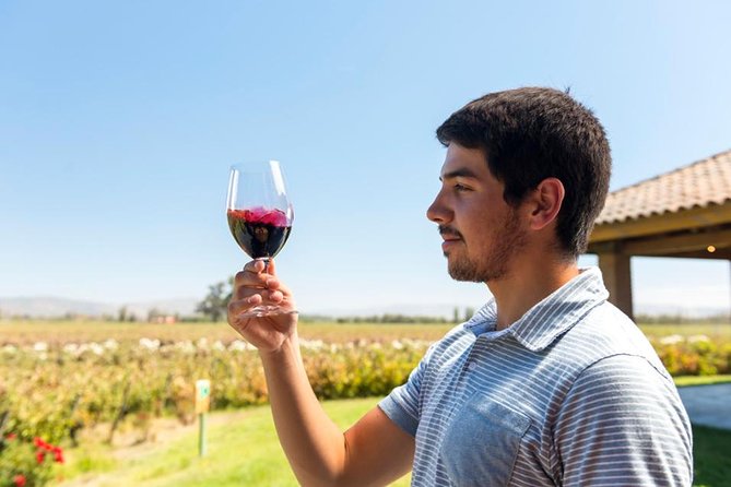 Tours 2 Vineyards Full Day Private - Schedule and Availability