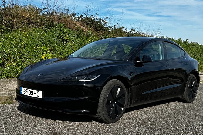 Transfer From Lisboa to Albufeira Algarve - Booking Details and Requirements