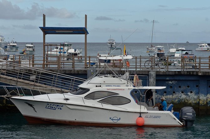 Transfer From Santa Cruz Island to Isabela Island - Departure and Arrival Information