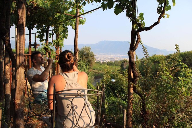 Transfer From Sorrento to Naples With Wine Tasting (1-8 Pax) - Pickup Options