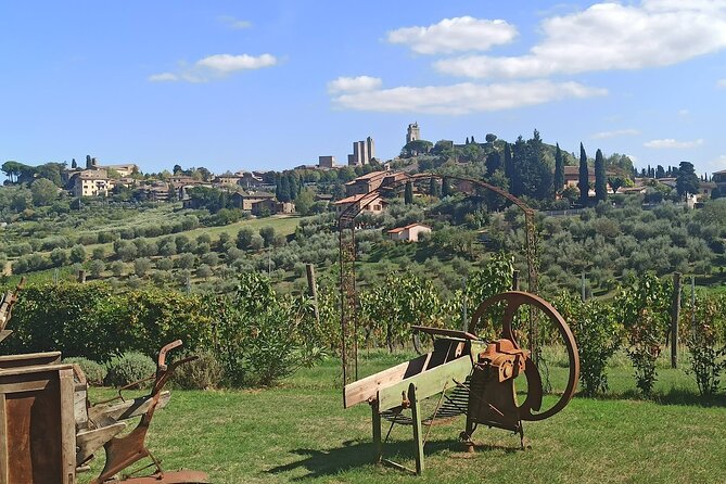 Transfer Siena-Pisa With Stop in San Gimignano & Lunch - Pickup Details