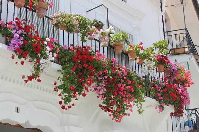 Transfer to Malaga From Seville - Pricing and Booking Details