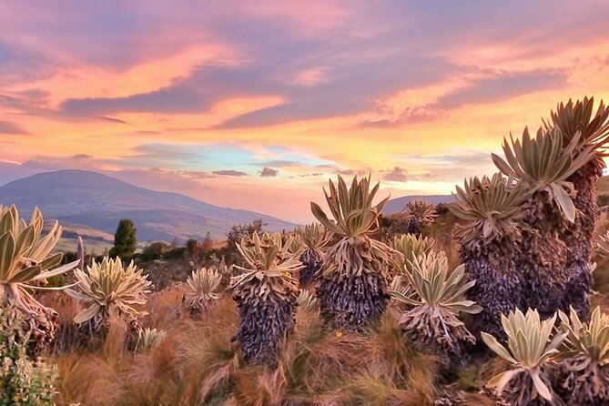 Traversing Ecuadors Icons and Hidden Gems - Uncovering Hidden Gems Off the Beaten Path