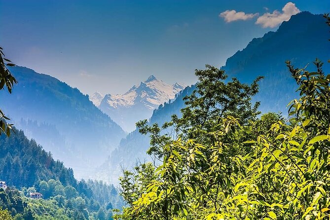 Trekking and Overnight Camp in Rishikesh - Operational and Accessibility Notes