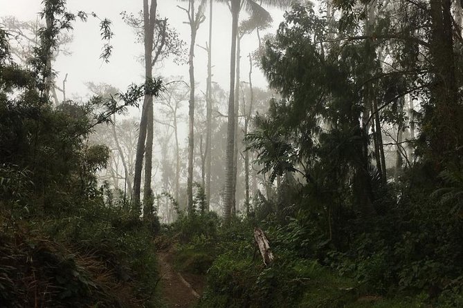 Trekking Finca La Argentina 2 Days (3450 Masl) - Services Included