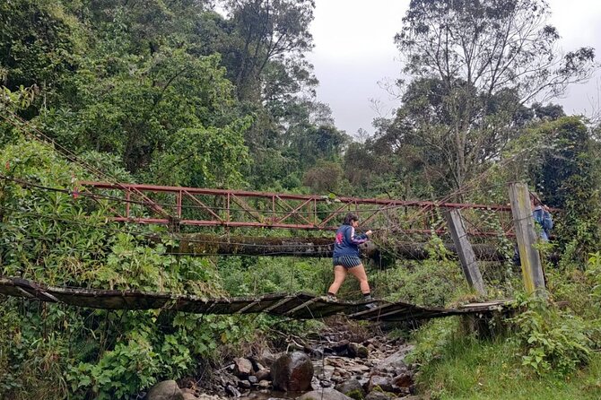 Trekking/Hiking in Cocora Valley From Pereira or Armenia - Directions